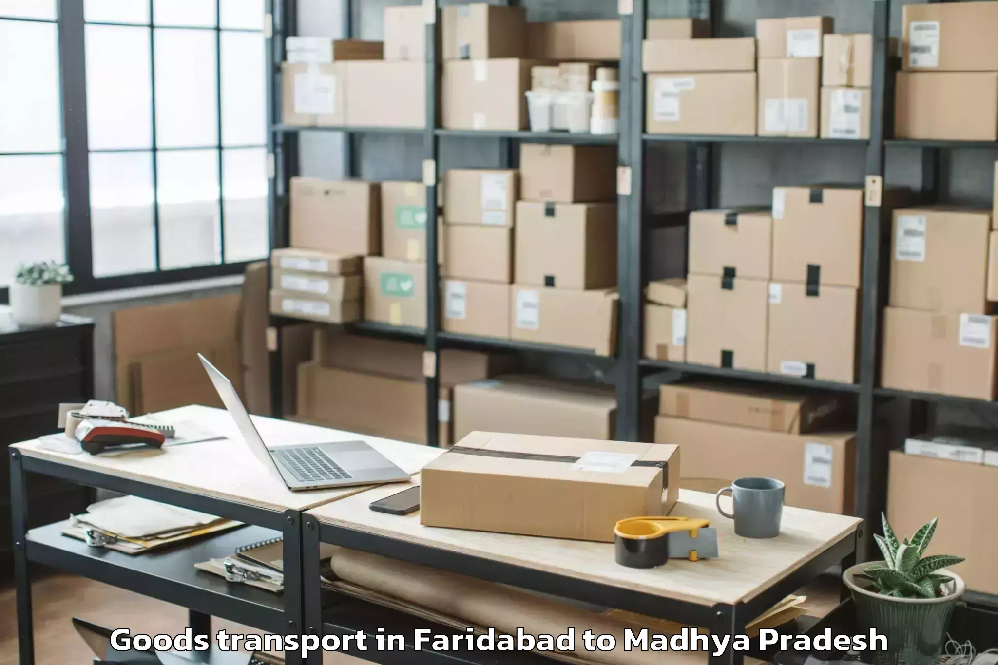 Professional Faridabad to Damoh Goods Transport